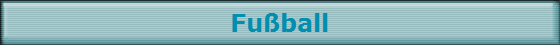 Fu�ball